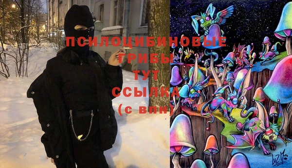 дмт Алексеевка